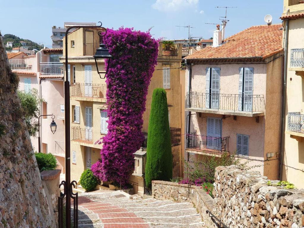 Hyper Centre Cannes - Plages Et Palais 5Min A Pied Exterior foto